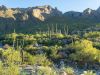 Saguaro National Park | Tucson | Arizona